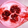 Estee Lauder Nutritious Super-Pomegranate Radiant Energy 2-in-1 Cleansing Foam