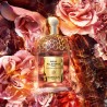 GUERLAIN Aqua Allegoria Forte Rosa Palissandro edp