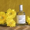 Miller et Bertaux Study 23 Edp100ml