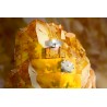 KAJAL TOPAZ EDP 100ml