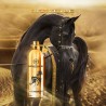 MONTALE Arabians Edp